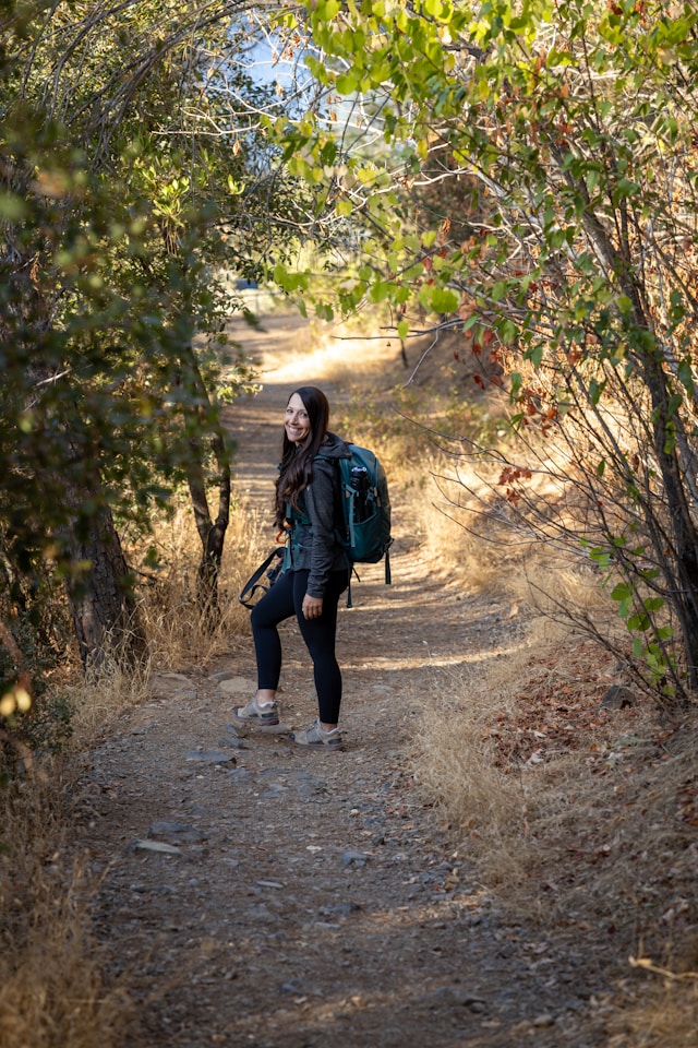 Zantraventra kierunek