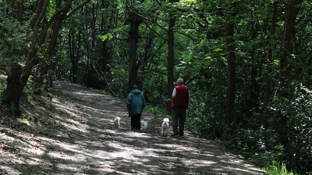 Zantraventra zdjęcie 2